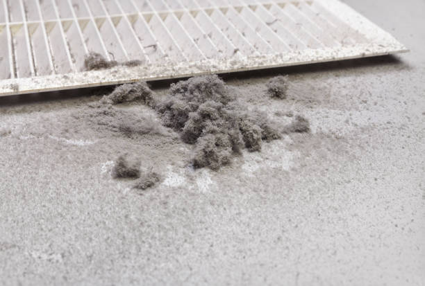 Best Affordable Air Duct Cleaning  in Monroeville, PA