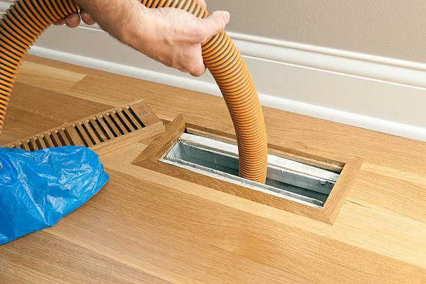 Best Air Duct Mold Removal  in Monroeville, PA